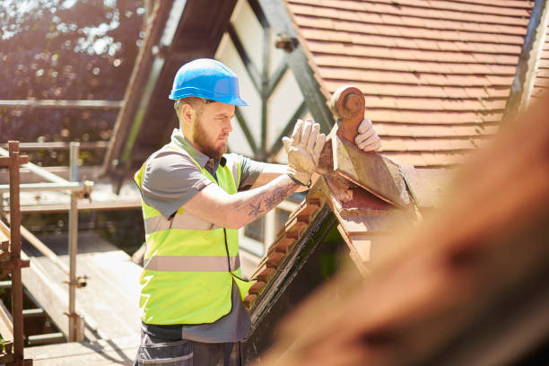 Roof Gutter Cleaning in Madison, AL